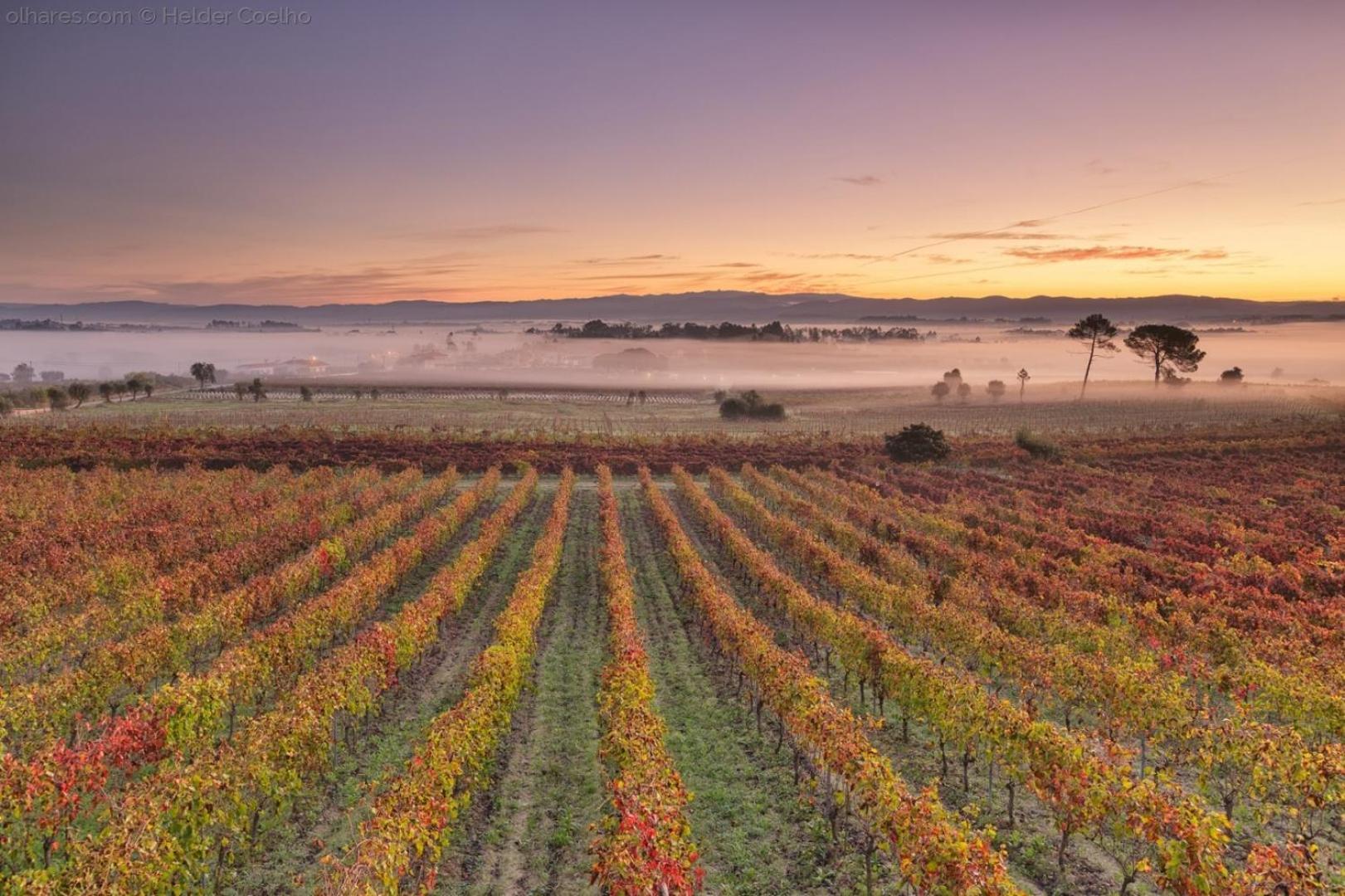 Quinta Das Aguias Aveiro Luaran gambar