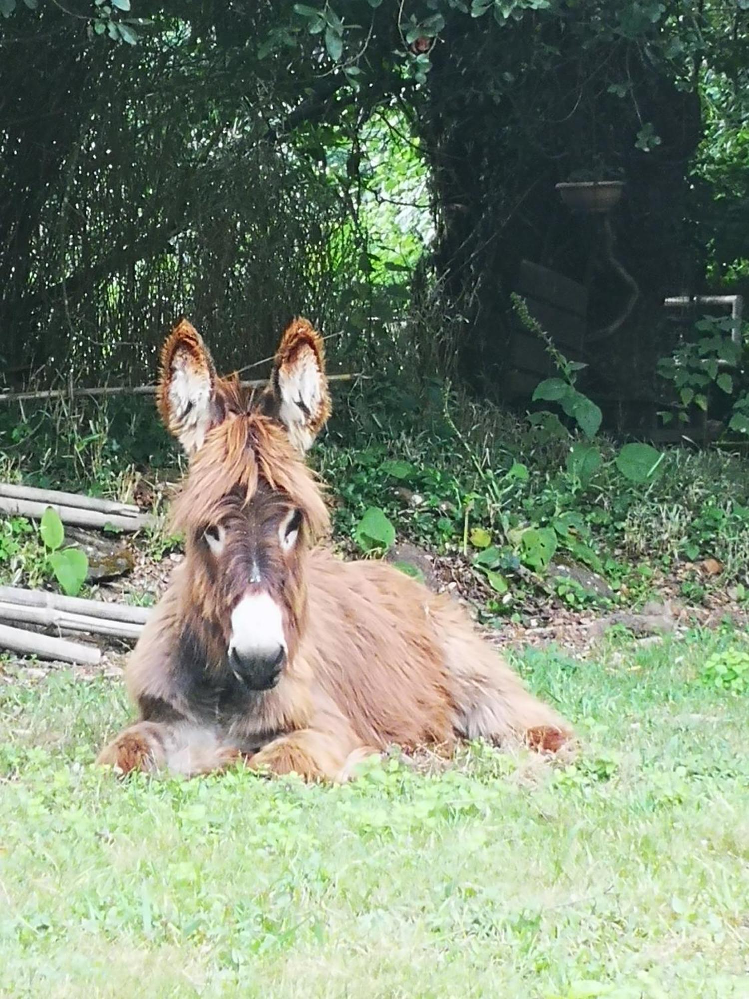 Quinta Das Aguias Aveiro Luaran gambar