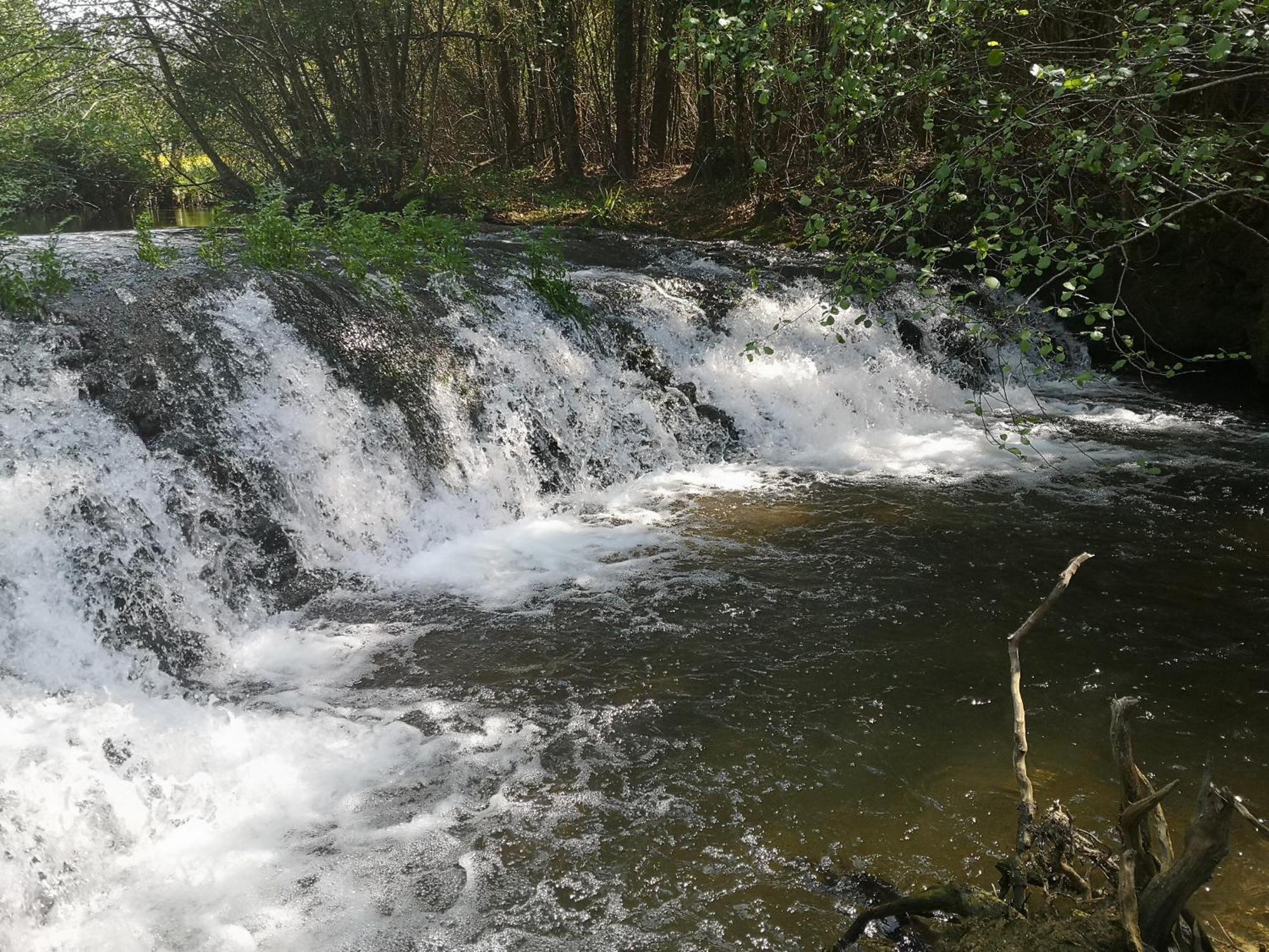 Quinta Das Aguias Aveiro Luaran gambar