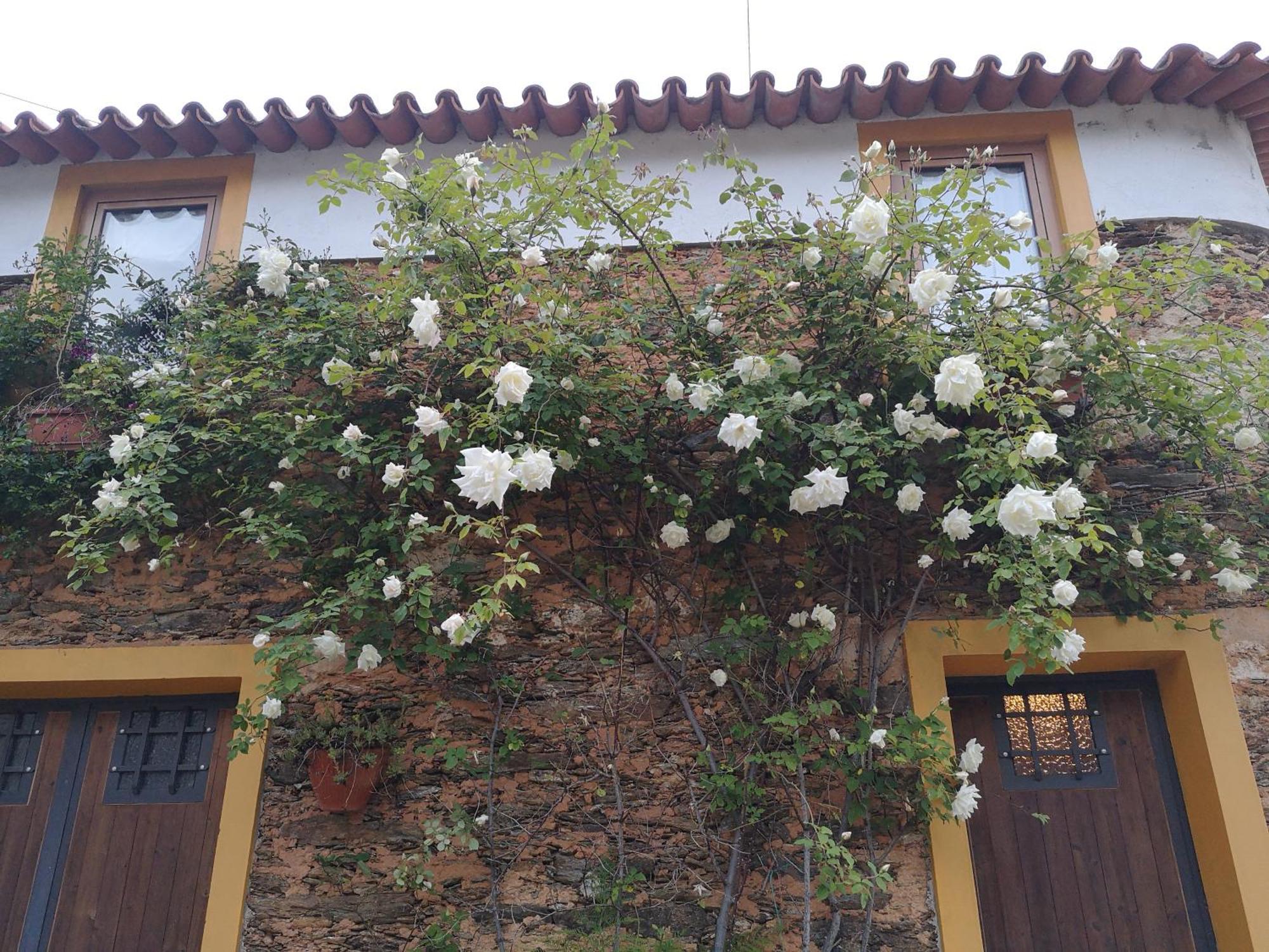 Quinta Das Aguias Aveiro Luaran gambar