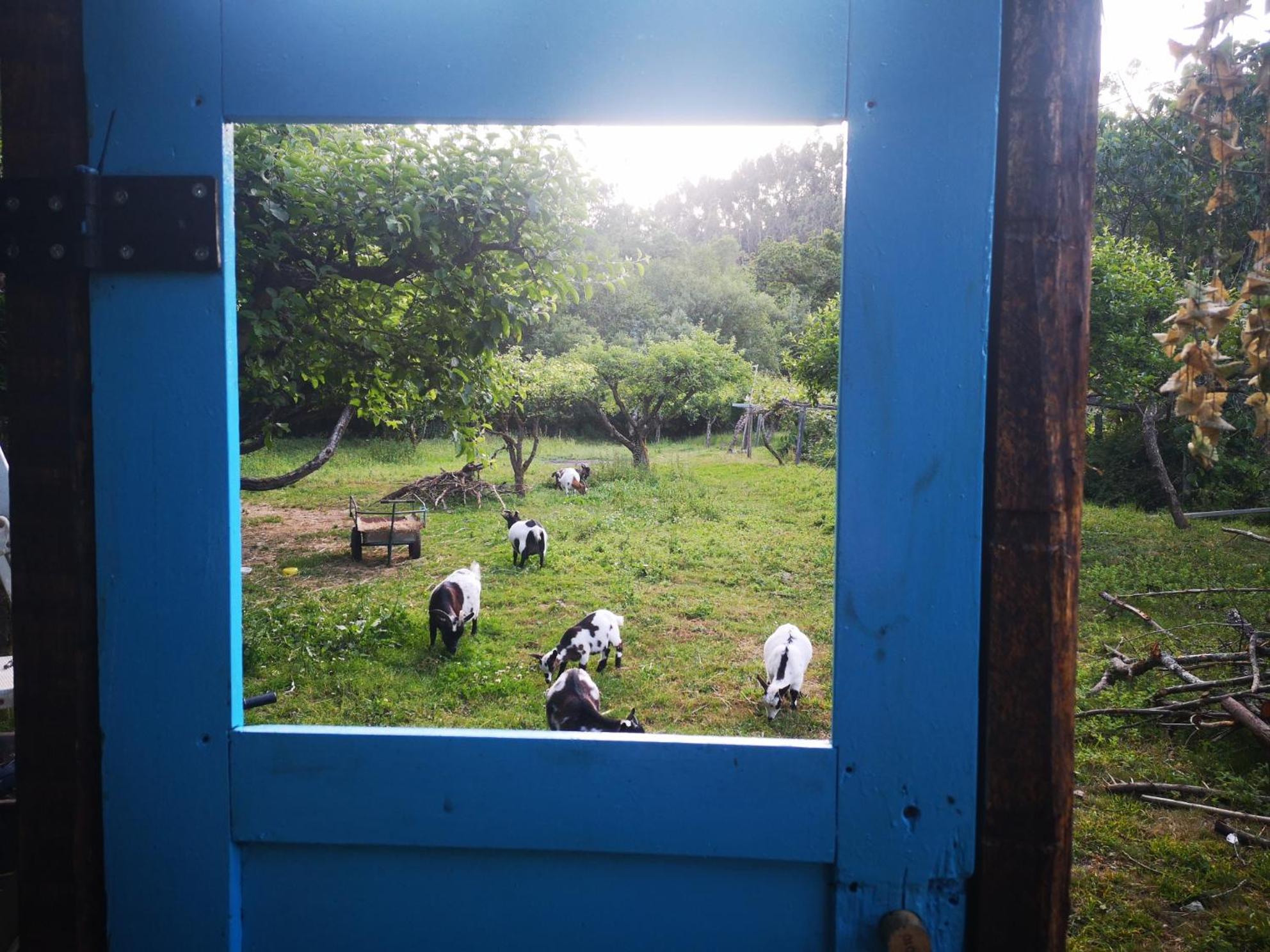Quinta Das Aguias Aveiro Luaran gambar